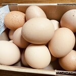 坂斉 - 卵さんのアップ