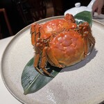 中国飯店 市ヶ谷店 - 