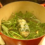 フィエルテ - 山鳩とハーブのブレゼのプレゼンテーション