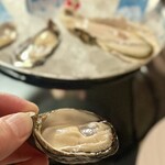 Oyster bar & Bistro Wharf - 