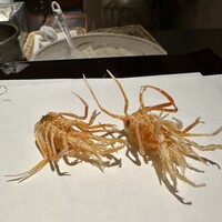 天七 - 