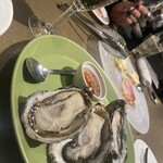 COLONIAL BEACH 横浜ハンマーヘッド - 