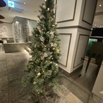 COLONIAL BEACH 横浜ハンマーヘッド - 