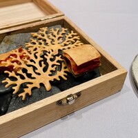 日本のイタリア料理店 sai - 