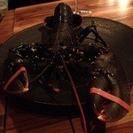 ベルトラン ラーシェ ル ブルターニュ 神楽坂 - 14.3