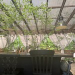 ​冬のRK GARDEN - 