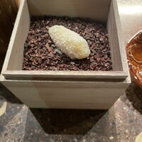 RAMA 白金 - 