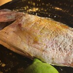 Trattoria il pirata - 