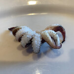 Trattoria il pirata - 