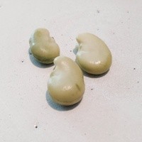 ラ・ボンヌターブル - 生の甘～い、そらまめ☆