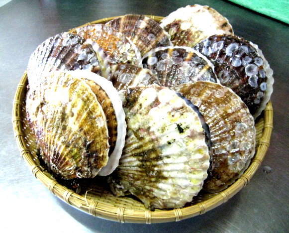 海老徳 - 山ノ目（海鮮）の写真