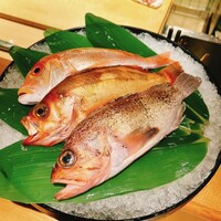 泉岳寺門前 紋屋 - 
