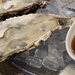 四ツ橋・新町 牡蠣と肉たらしビストロAKIRA - 