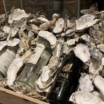 四ツ橋・新町 牡蠣と肉たらしビストロAKIRA - 