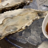 四ツ橋・新町 牡蠣と肉たらしビストロAKIRA - 