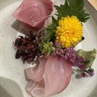伊豆の旬 やんも 南青山店 - 