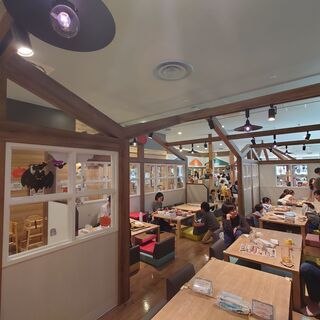 ハグハグカフェ_2