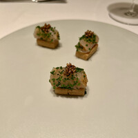 カンテサンス - 