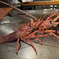 青ひげ 本店 - 