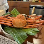 京橋川 おむら - 