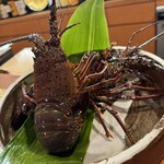 京橋川 おむら - 