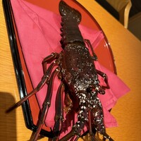 活伊勢海老料理 中納言 神戸三宮本店 - 