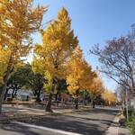 タイ料理 メーパオ - 