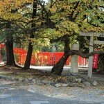 タイ料理 メーパオ - 