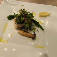 スミレオオサカ - 