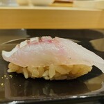 北新地 鮨 聚楽 - 炙りカマス✨️