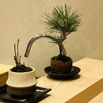 北新地 鮨 聚楽 - ミニ盆栽が素敵です(ღ*ˇ ˇ*)｡o♡ᔆᵘᵗᵉᵏⁱ♡✨️