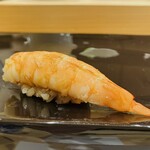 北新地 鮨 聚楽 - 天使の海老✨️