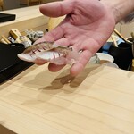 北新地 鮨 聚楽 - 脂の乗ったカマス✨️皮目を炙って✩⋆*॰¨̮⋆｡˚・*:..｡o♬.･*’’*･.・*:.。.☆