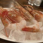 さかなや いさむ - 