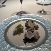 フォリオリーナ・デッラ・ポルタ・フォルトゥーナ - 