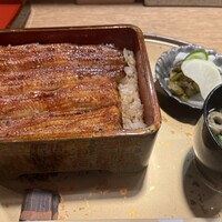 うなぎ 目白ぞろ芽 - 