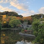 豊島屋菓寮 八十小路 - 夕暮れの鶴岡八幡宮。お店はここから歩いて10分です