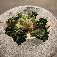 GapricE - 