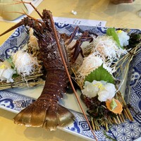 中納言 大阪駅前第3ビル店 - 伊勢海老の活造り