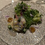 le musée (de poisson plage) - 