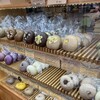 バニトイベーグル 川越店
