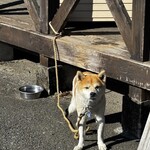 串焼き BUBU-TON - 