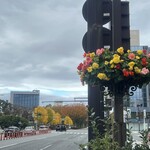 銀兆 - お店の近く、キレイなお花が咲いていました。