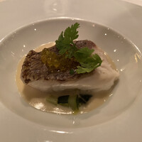 THE KOBECRUISE コンチェルト - 