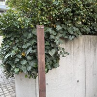 TACUBO - 