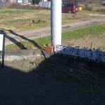 わがまんま鷹 - 