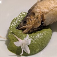 セルサルサーレ - 