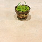 ノノカ レストラン - 