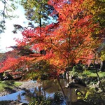CASA CARINO - 大宮公園