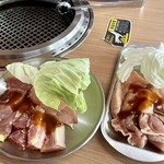 コケコッコー共和国 - 熊野地どり(左)と錦爽鶏(右)